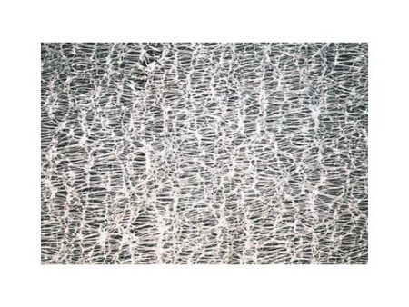 HYDROPHOBIC PTFE MEMBRANE FILTERS