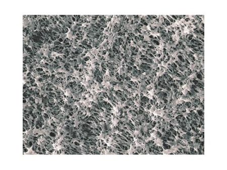 HYDROPHILIC PTFE MEMBRANE FILTERS