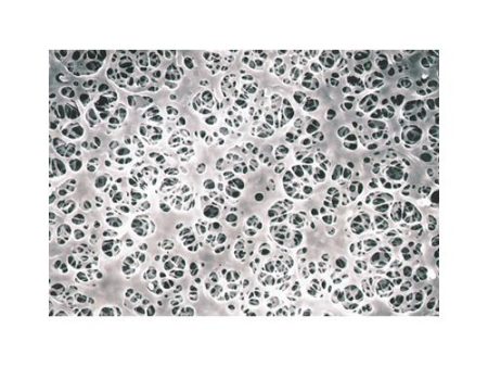 COATED CELLULOSE ACETATE MEMBRANE FILTERS