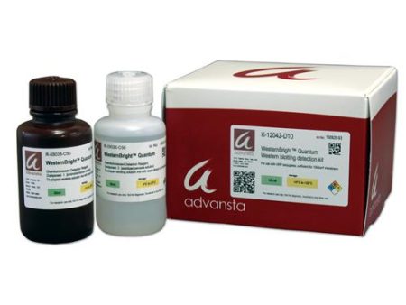 WESTERNBRIGHT QUANTUM HRP SUBSTRATE