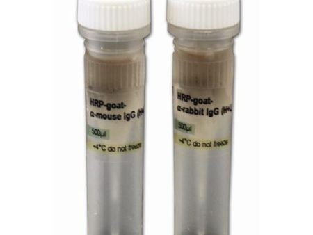 HRP-CONJUGATED SECONDARY ANTIBODIES