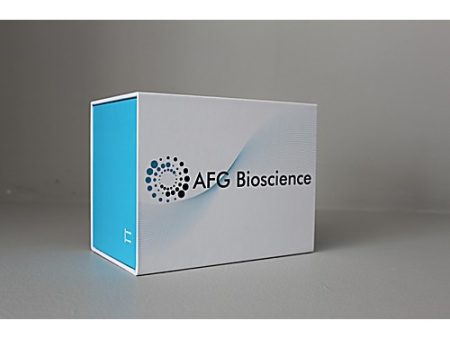 RAT DIHYDROTESTOSTERONE(DHT) ELISA KIT