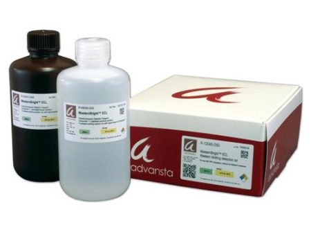 WESTERNBRIGHT ECL HRP SUBSTRATE