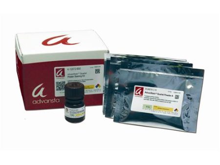 ADVANSTAIN™ SCARLET™ PROTEIN STAIN