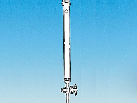 CHROMATOGRAPHIC COLUMN, WITH FILTER DISC