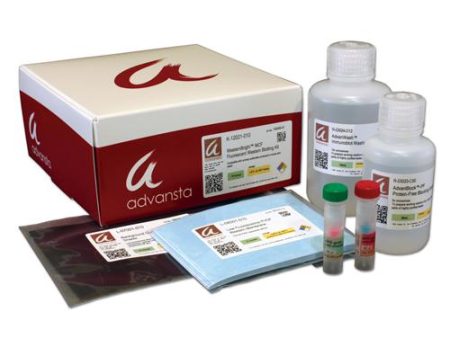 WESTERNBRIGHT MCF AND MCF-IR