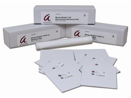 WESTERNBRIGHT TRANSFER MEMBRANES
