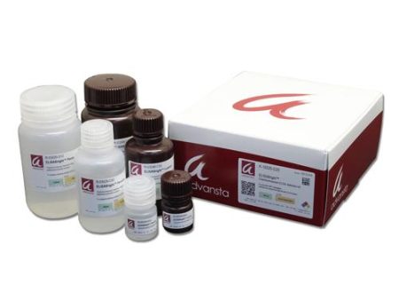 ELISABRIGHT™ CHEMILUMINESCENT SUBSTRATE